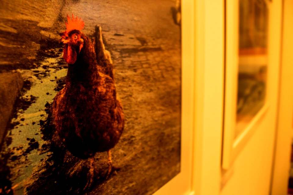 08.09.2019 - Exposição fotográfica analógica "Rumo" - Foto Michel Corvello