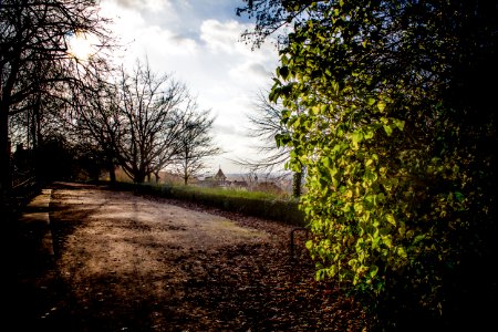 Richmond Park