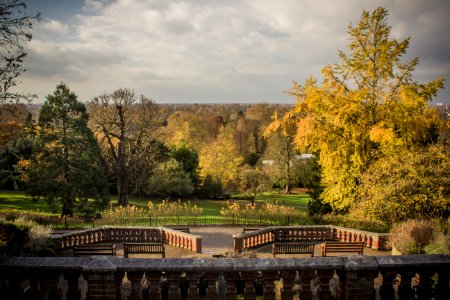 Richmond Park