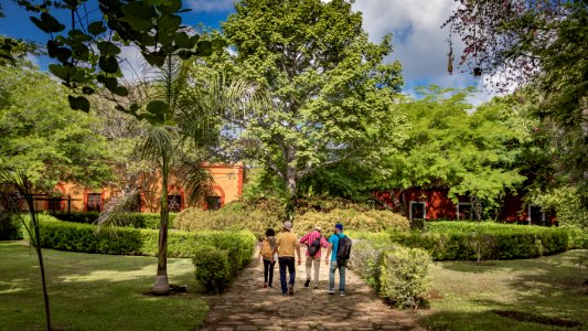 Hda Temozón, Yucatán-15