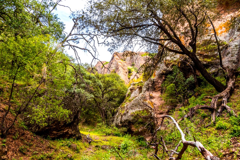 Cañón de Namúrachi