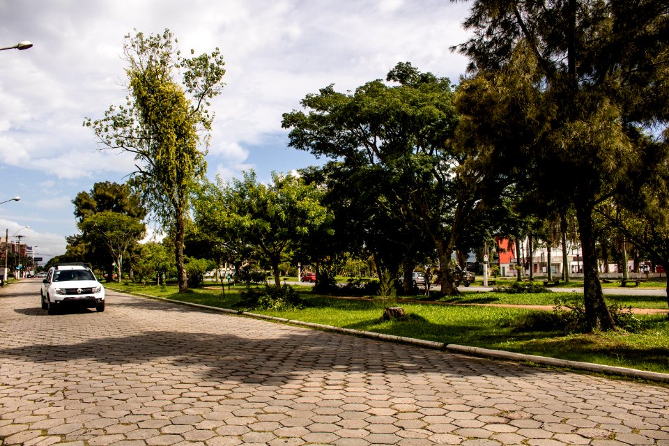 09.02.2021 - Supressão de árvores na Avenida Dom Joaquim - Foto Michel Corvello