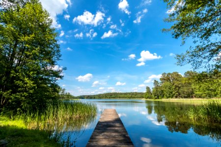 Drawieński Park Narodowy photo