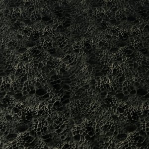 CharDunes 4
