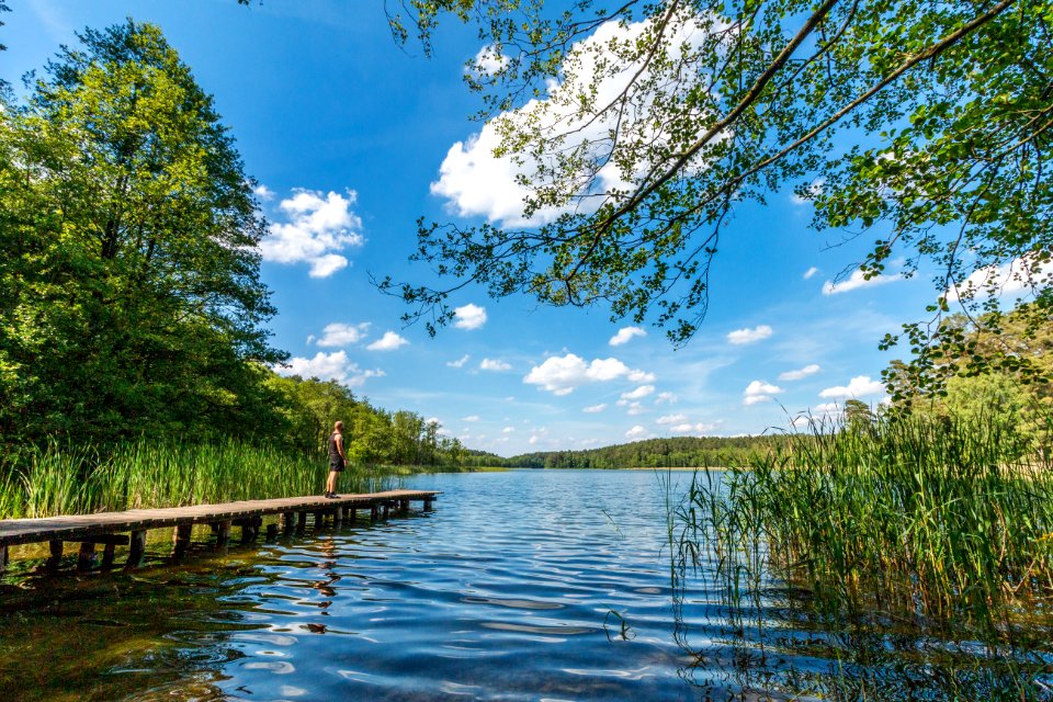 Drawieński Park Narodowy