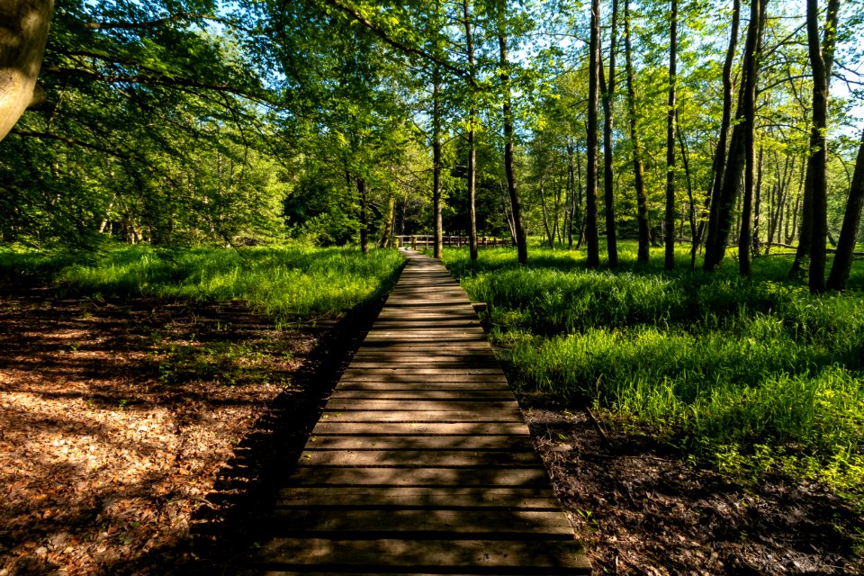 Drawieński Park Narodowy