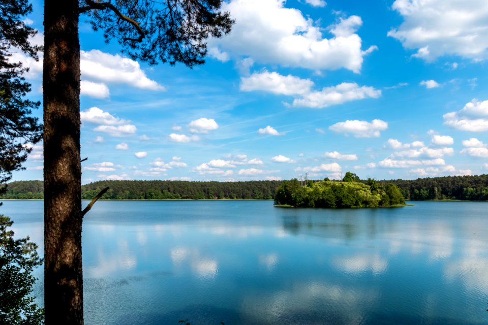 Drawieński Park Narodowy