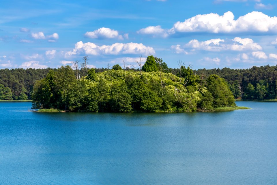 Drawieński Park Narodowy