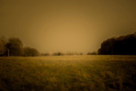 Richmond Park