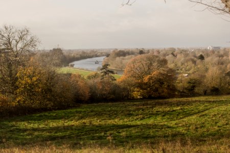 Richmond Park