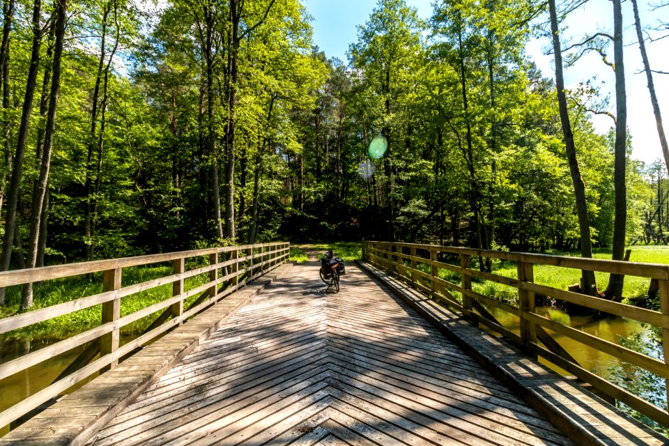 Drawieński Park Narodowy