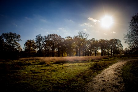 Richmond Park