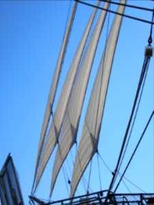 IMG 0067