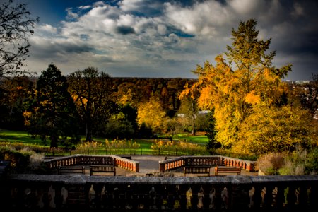 Richmond Park
