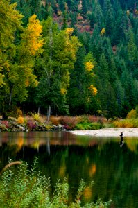 Autumn fisherman in the Coeur d'Alene River near Enaville, ID.