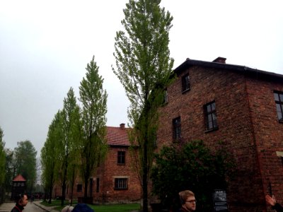 Auschwitz photo