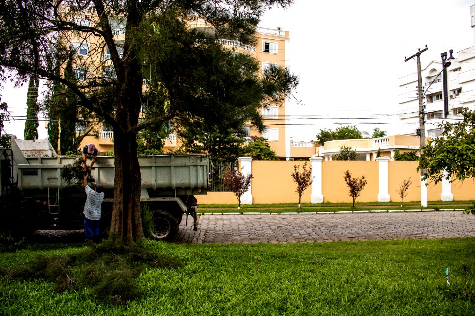 09.02.2021 - Supressão de árvores na Avenida Dom Joaquim - Foto Michel Corvello