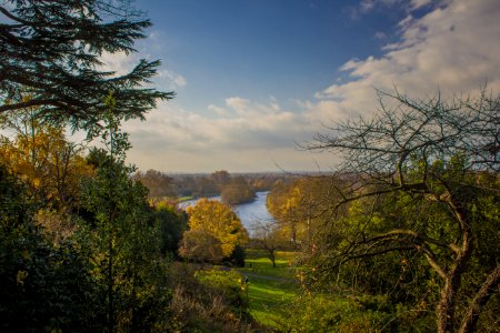 Richmond Park