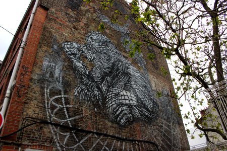 Singe dans la rue