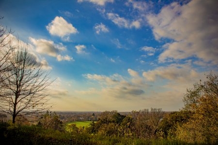 Richmond Park