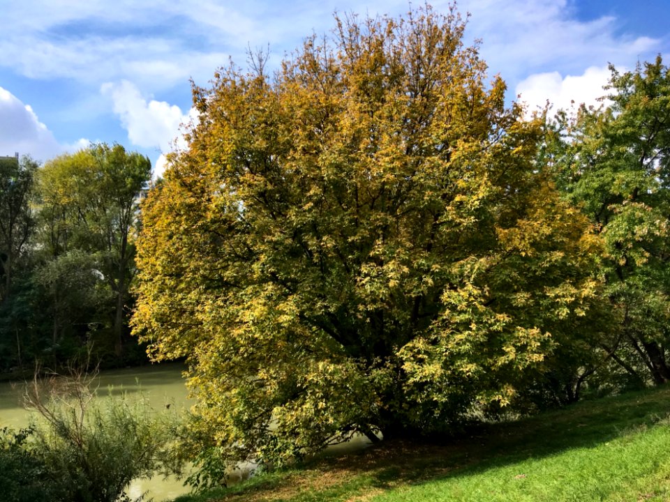 Banks of the Danube