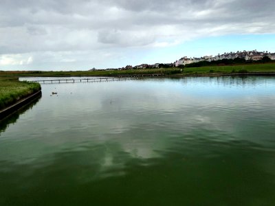 Crosby Coastal Park