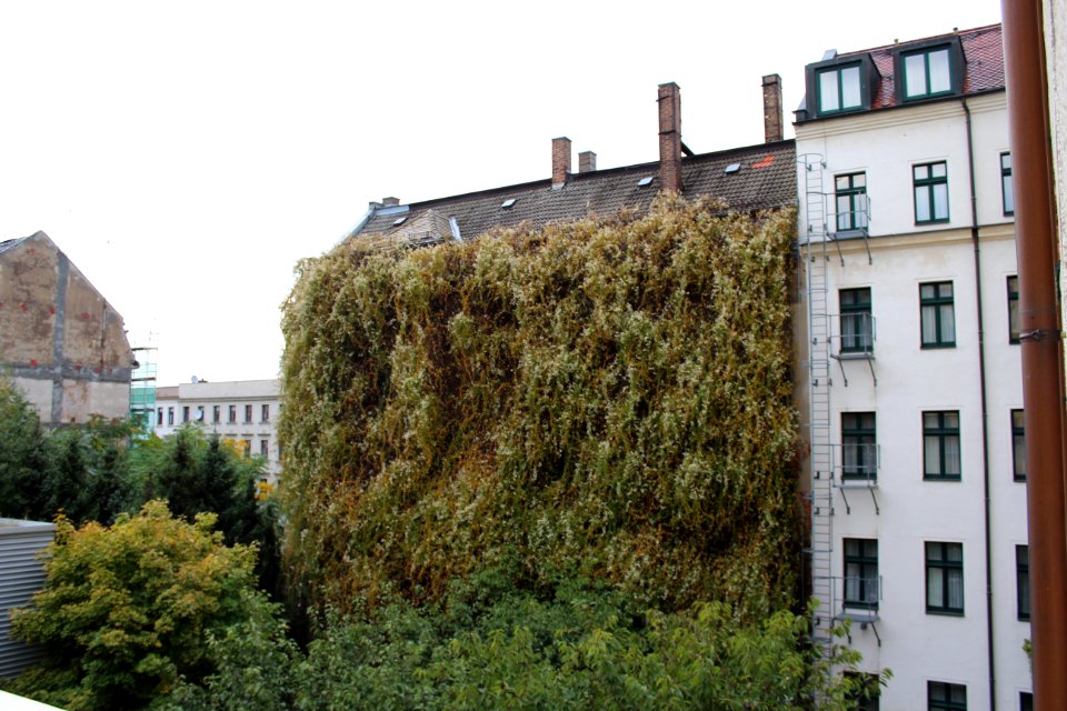 Leipzig, Alemania, Deutschland, Germany photo