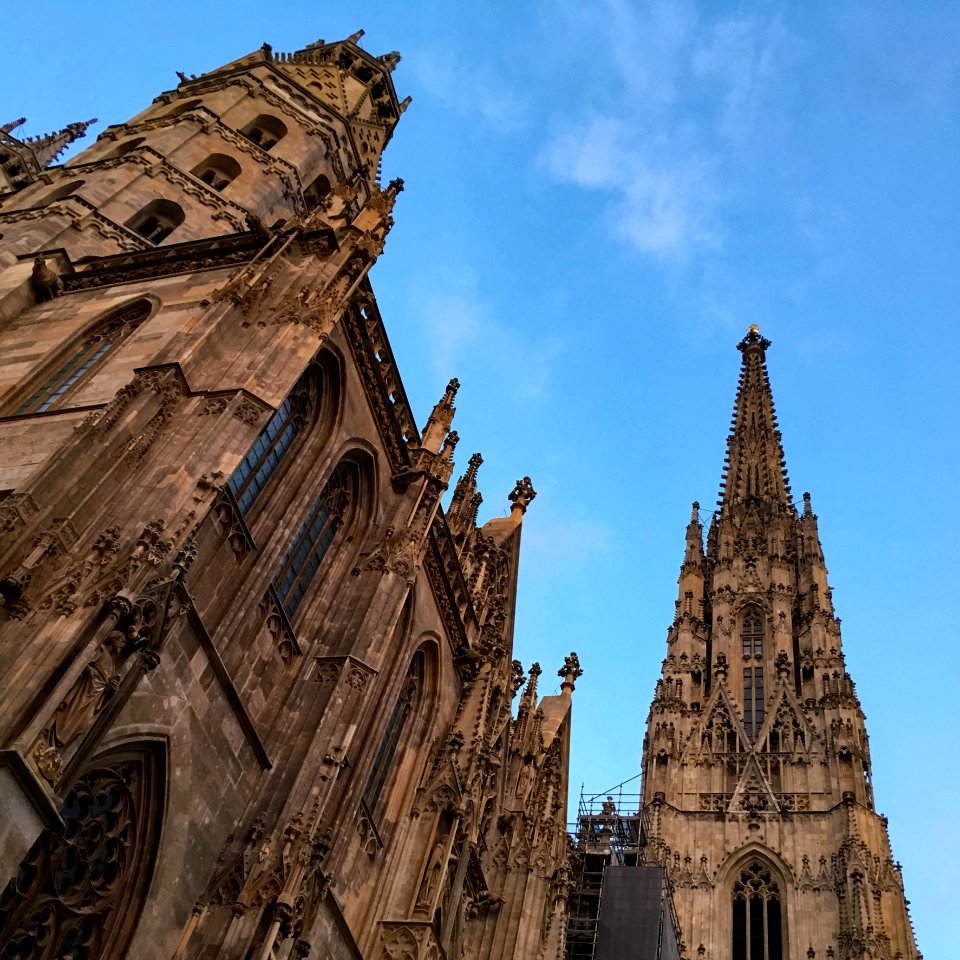 Stephansdom photo