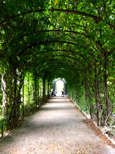 Schönbrunn photo