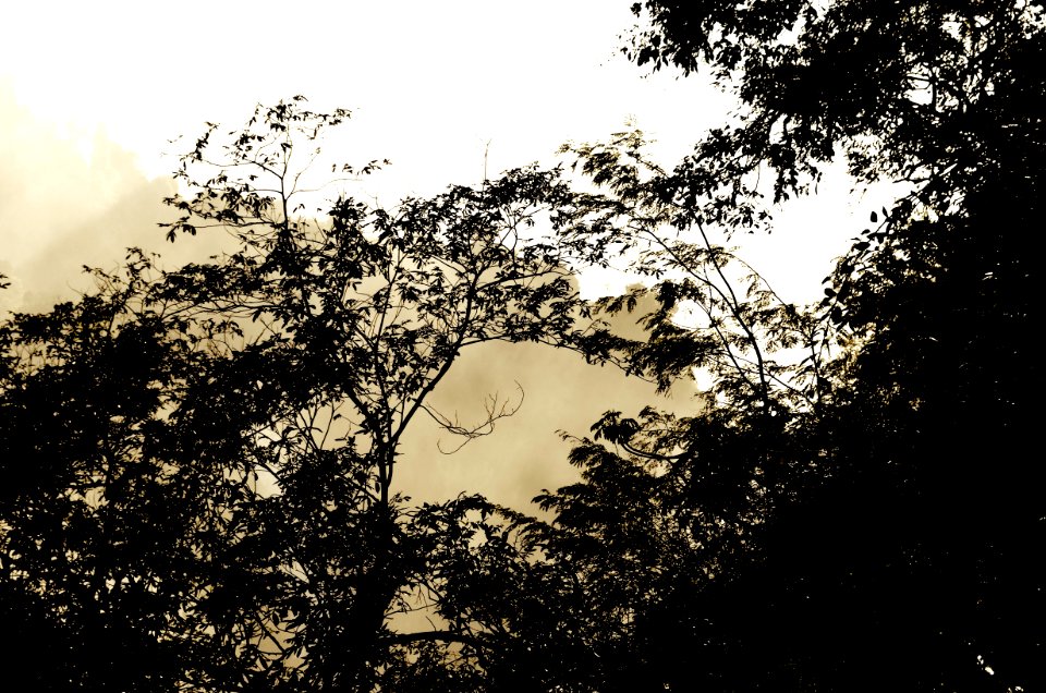 Parque Nacional do Iguaçu