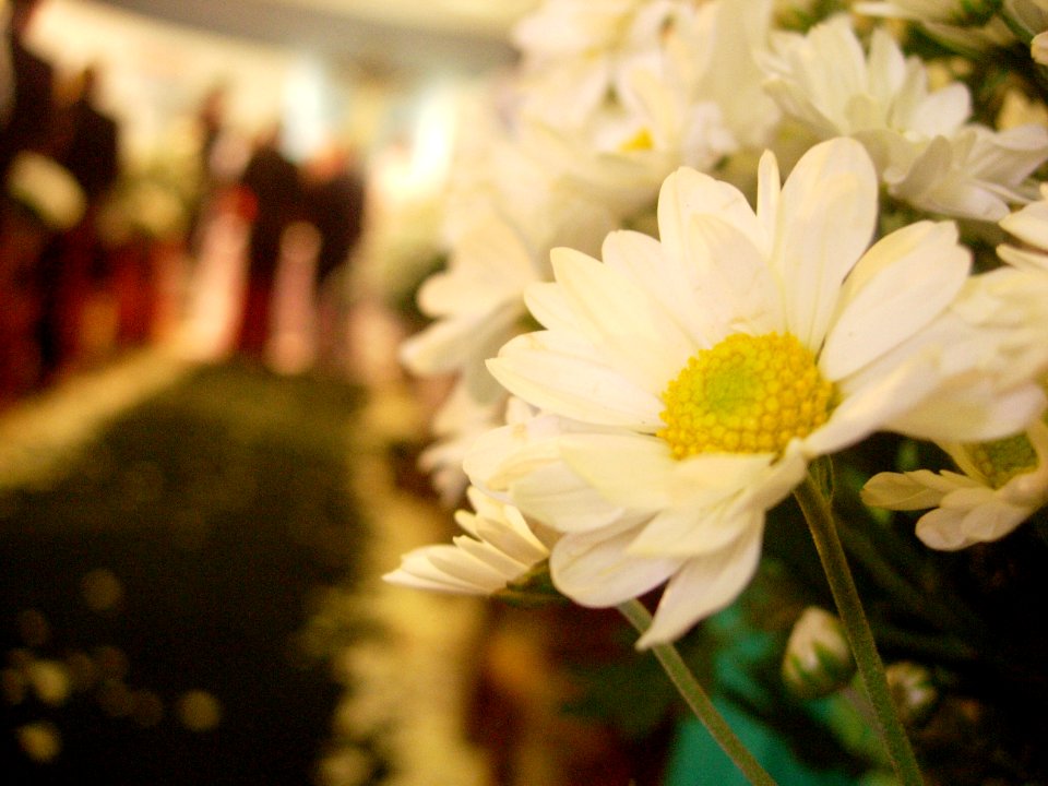 Flor Casamento Lucimara e Marcelo