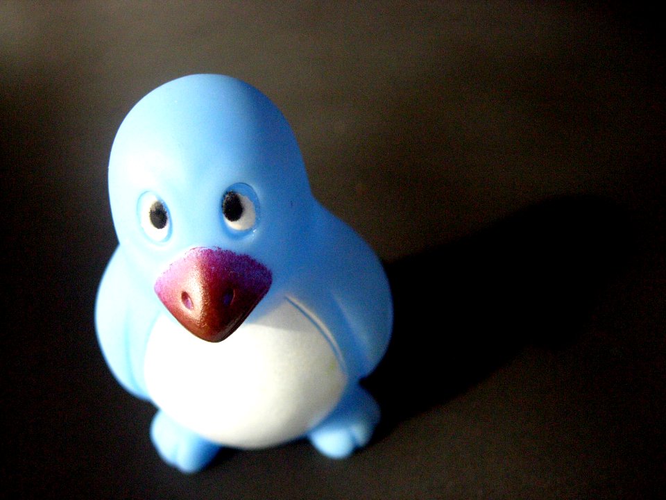 Pinguim