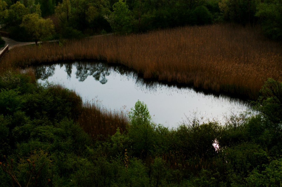 Lake at Midnight