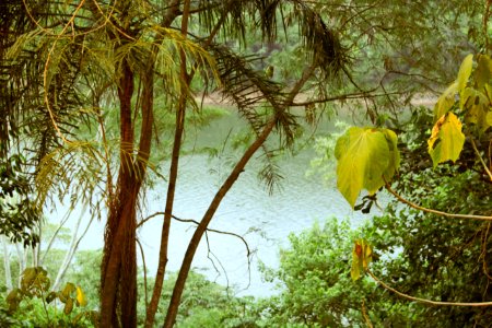 Costanera Puerto Iguazú