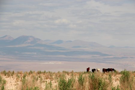 Atacama