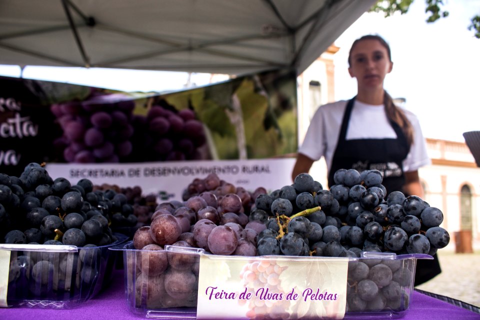 03.02.2020 - Feira de uvas de Pelotas - Foto Michel Corvello