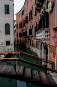 Venice by Arina Ertman.