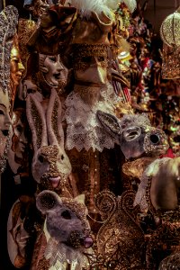 Venice by Arina Ertman.