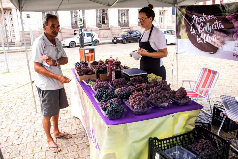 03.02.2020 - Feira de uvas de Pelotas - Foto Michel Corvello