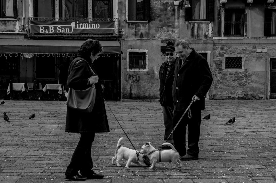 Venice by Arina Ertman.