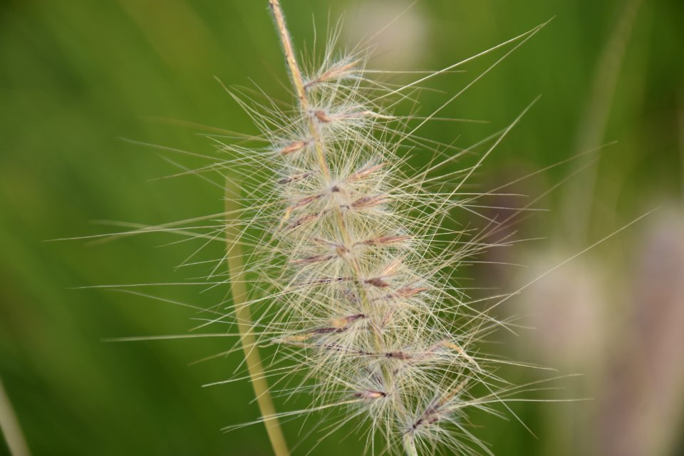 DSC 0045