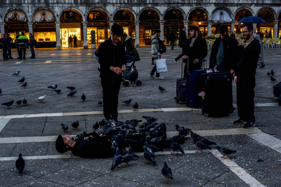Venice by Arina Ertman.