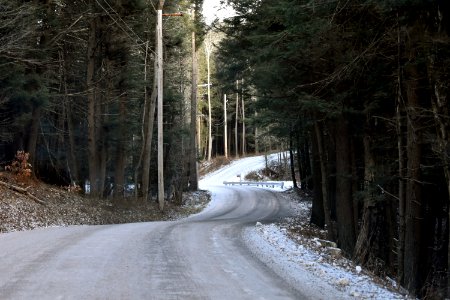 The Lonely Mailbox photo