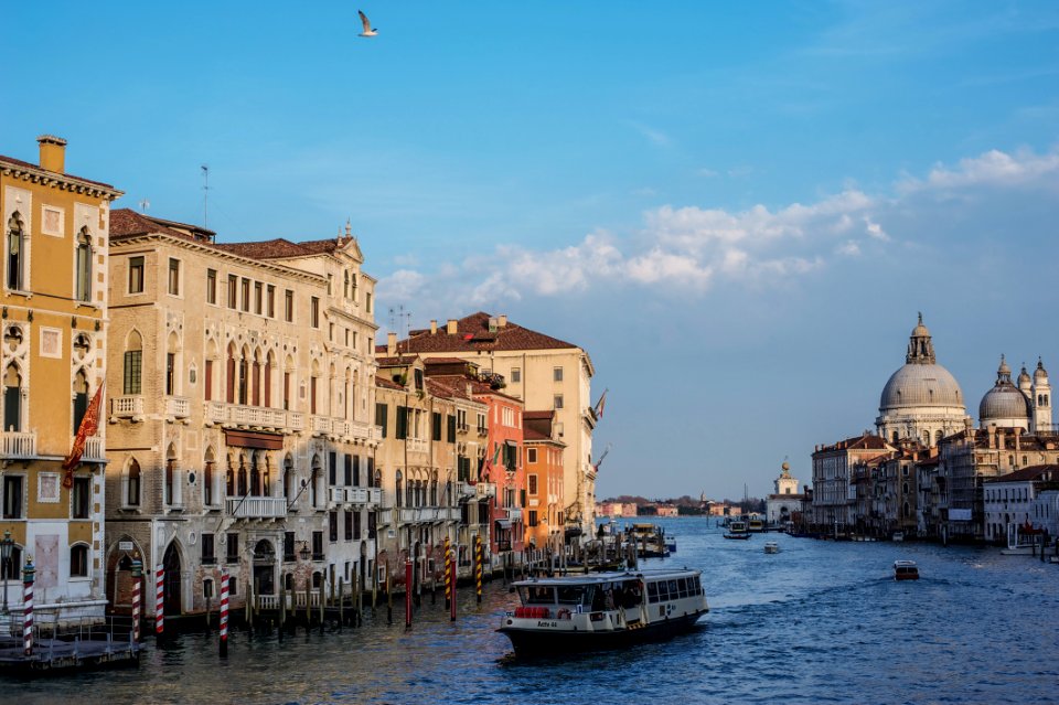Venice by Arina Ertman.