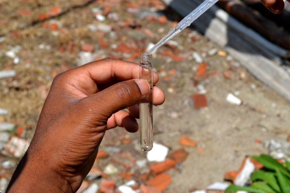 16.01.2020 - Vigilância Ambiental combate mosquito AEDES -  Foto Janune Tomberg