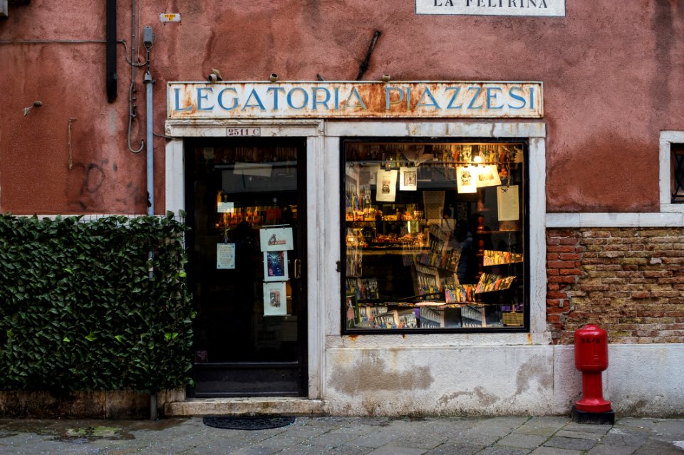 Venice by Arina Ertman.