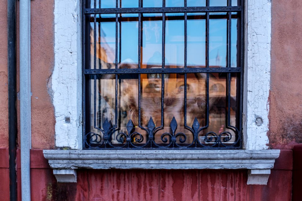 Venice by Arina Ertman.