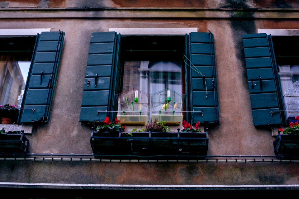 Venice by Arina Ertman.