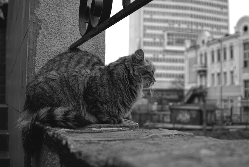 Владивосток. Арина Эртман.2008 (16)