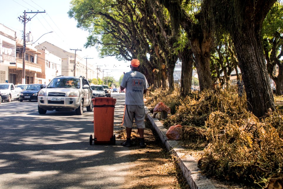 18.12.2019 - Supressão de árvores na avenida Saldanha Marinho - Foto Michel Corvello